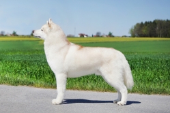 Maiki 4 lata 2 maj 2026